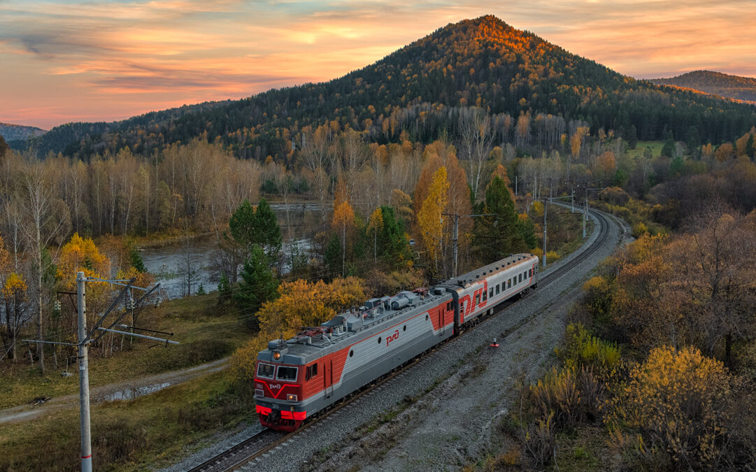 olga7484